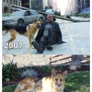 나는댕댕이다 이미지