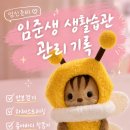 [임신준비] 임준생 생활습관 관리 기록 | 만보걷기, 하체스트레칭, 퓨어바디 착뜸기 루틴