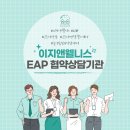 웰니스앤숨