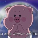 고향닭도리탕 이미지