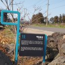 제주 올레길 15코스 A 이미지