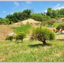 택수목장 이미지