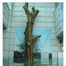 녹두장군 이미지