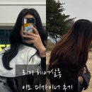 리키살롱 | 부산진역 미용실 리키헤어살롱:: 이도 디자이너 염색+레이어드컷 후기