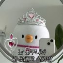 남리5일시장 | 11월이 오고야 말았구나😭 23년 새로 시작하자 제발🙏🏻