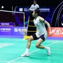 배드민턴 이미지