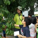 신등초등학교 이미지