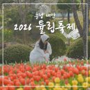 태안양계장제2농장 | 2026 태안 튤립축제 네이처월드 입장료 벚꽃 튤립 개화상태