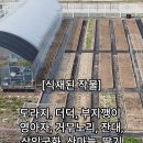 슬귀생의 텃밭 이미지