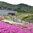 화랑마을-4 노컷뉴스