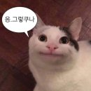 이레컴퍼니 이미지