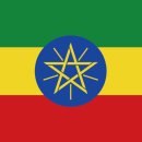 스타태권도스쿨 이미지