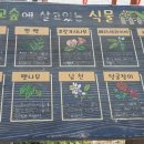 하가초등학교병설유치원 이미지