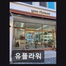 동화연구지도사 | [대전 꽃집] 유플라워 정성 담은 꽃 조합과 서비스
