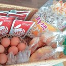 투로맨틱버즈 이미지