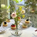 옥스카페 이미지