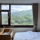 디엘린산후조리원 이미지