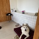 Happy Salon(해피살롱) 이미지