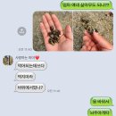 금강산모텔 | [강원도 고성] 스노클링하러갈래? 그래! 급여행 후기