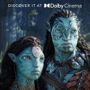 아바타: 물의 길 - CGV 천안펜타포트 3D 후기