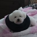 카라인 용품점 이미지