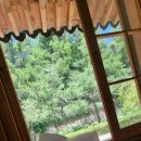 [부암동나들이]숲속의 힐링 공간, 청운문학도서관 방문 후기 (자리 잡기 꿀팁 포함)