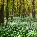 보리농장 이미지