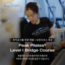 쉽게 배우는 장기 - 초급 | 피크필라테스 강사 브릿지코스 레벨 1 드디어 합격! 후기🫶