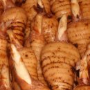 상민농장 이미지