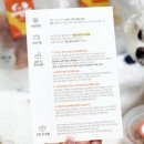 멍그리다 이미지