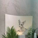 굿헤어(Good Hair) - 서대문구 | 굿헤어(Good Hair)
