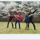 대일카 - 경산시 봉회길 67 | 대일카