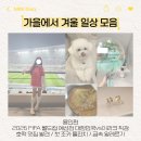 계절 일상 모음 🤍 (feat. 호떡 맛집 발견 ! 2026 FIFA 월드컵 예선전 대한민국vs이라크 직관 후기)