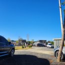 서서천농업협동조합 서면지점 이미지