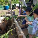 풀내음힐링캠프 이미지