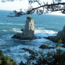 제주 올레길 7코스 이미지