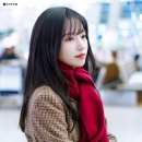 율 이미지