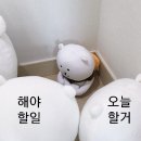 [결혼준비] 1. 결혼 박람회 솔직후기 (용산 전자랜드 신한 쏠 웨딩 박람회-계약O)