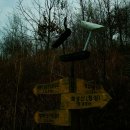 이극견 가계 석물군 이미지