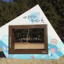 율포솔밭해변1 이미지