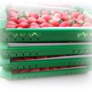 바람뜰농장 이미지