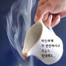 수지상사 이미지