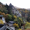 단풍