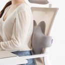 꼬꼬치 | 슈퍼적립x다니카 꼬꼬치 허리 쿠션 찐후기