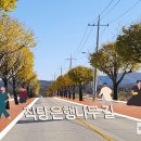 직탕 이미지