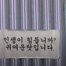 광안목