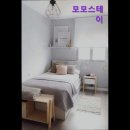스테이모모