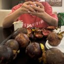 킹콩나이트 이미지