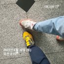 신안인스빌리베라(아)경로당 | 부동산공부 100일 기록-18일차