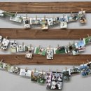 프로네앞마당 이미지